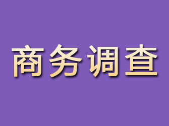 靖远商务调查